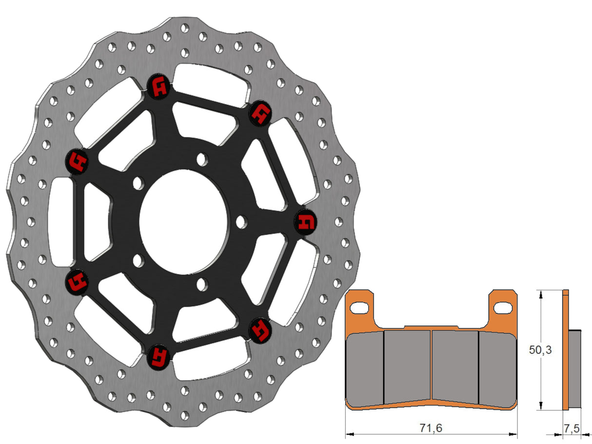 Kit Dischi Freno Flottanti Anteriori Accossato Linea Elite per Moto DK235 + Pastiglie freno AGPA109