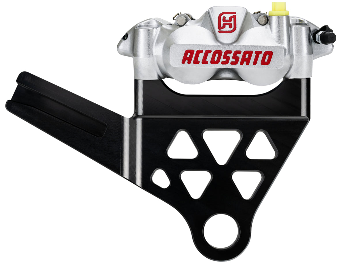 Kit Pinza Freno Radiale Posteriore + Flangia Freno Per Harley Davidson