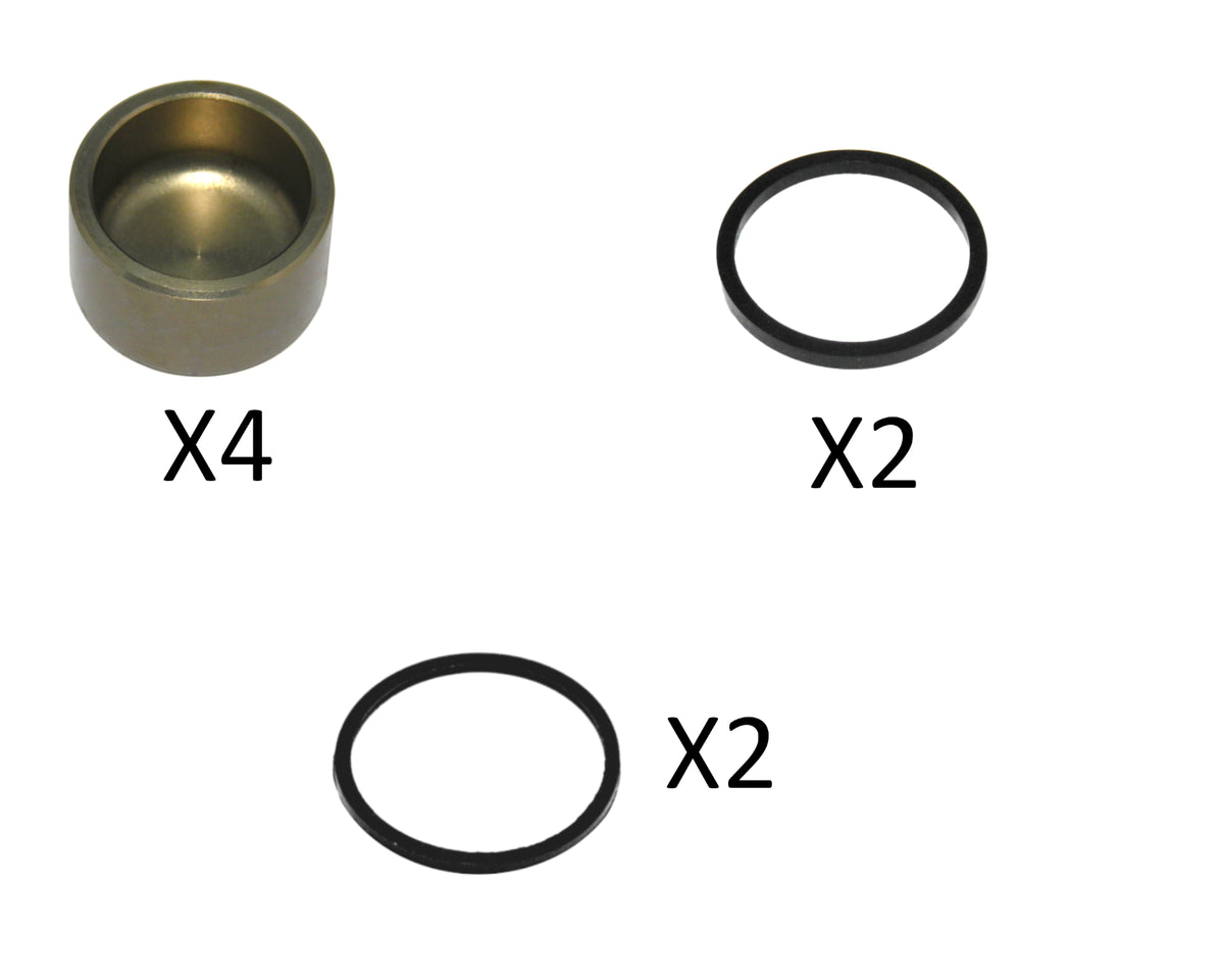 Kit ricambi per pinza PZ004