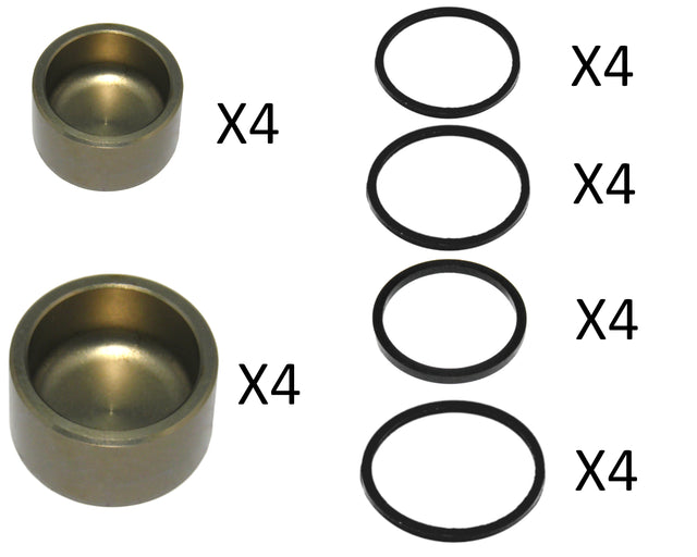 Kit ricambi per pinza PZ021