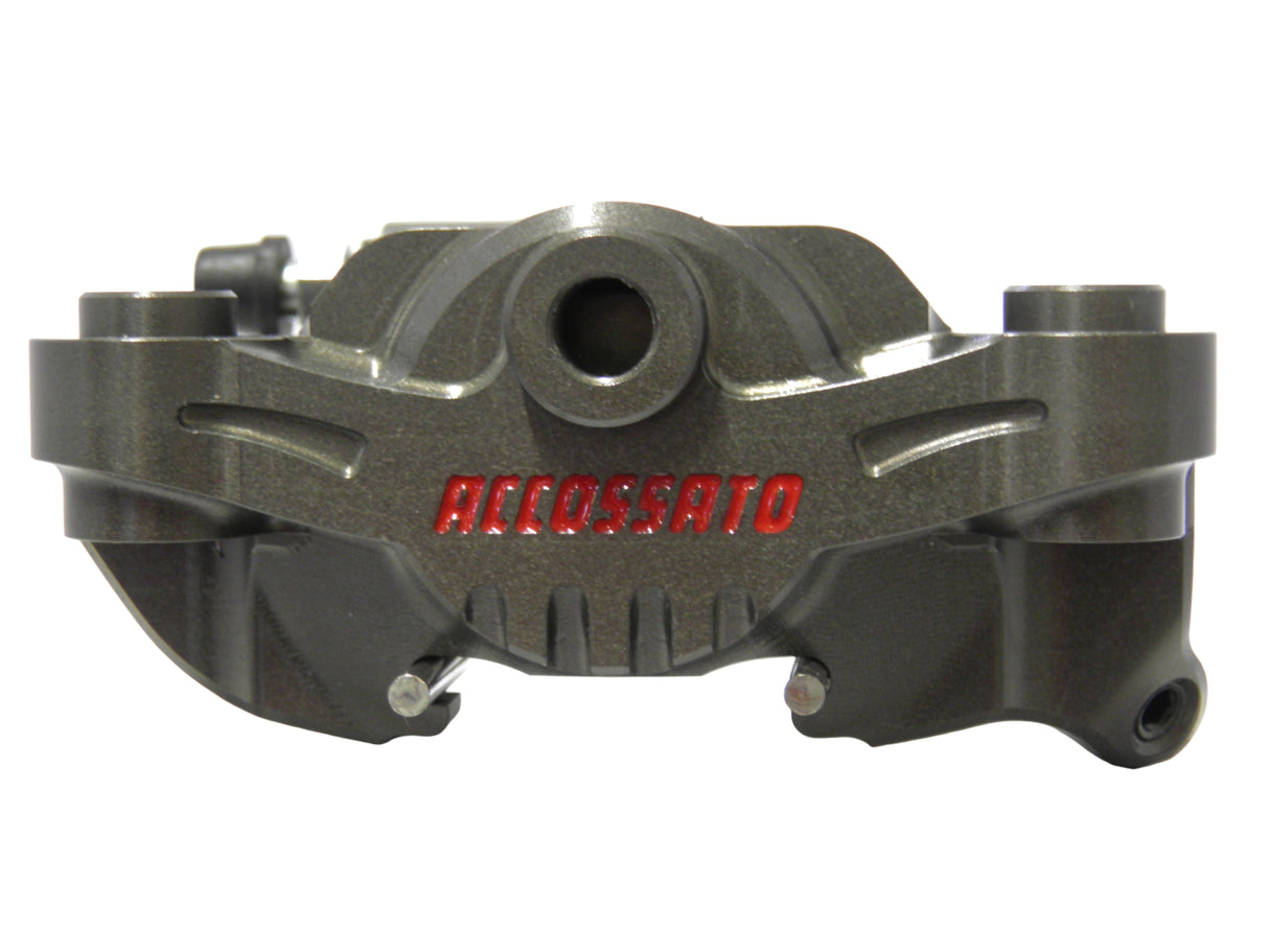 Pinza Freno Radiale Posteriore Moto 3